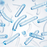 Fermento de bacilo (postbiótico)