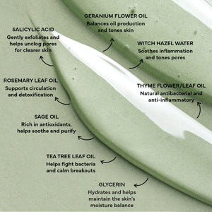 descripción de los ingredientes naturales para el cuidado de la piel