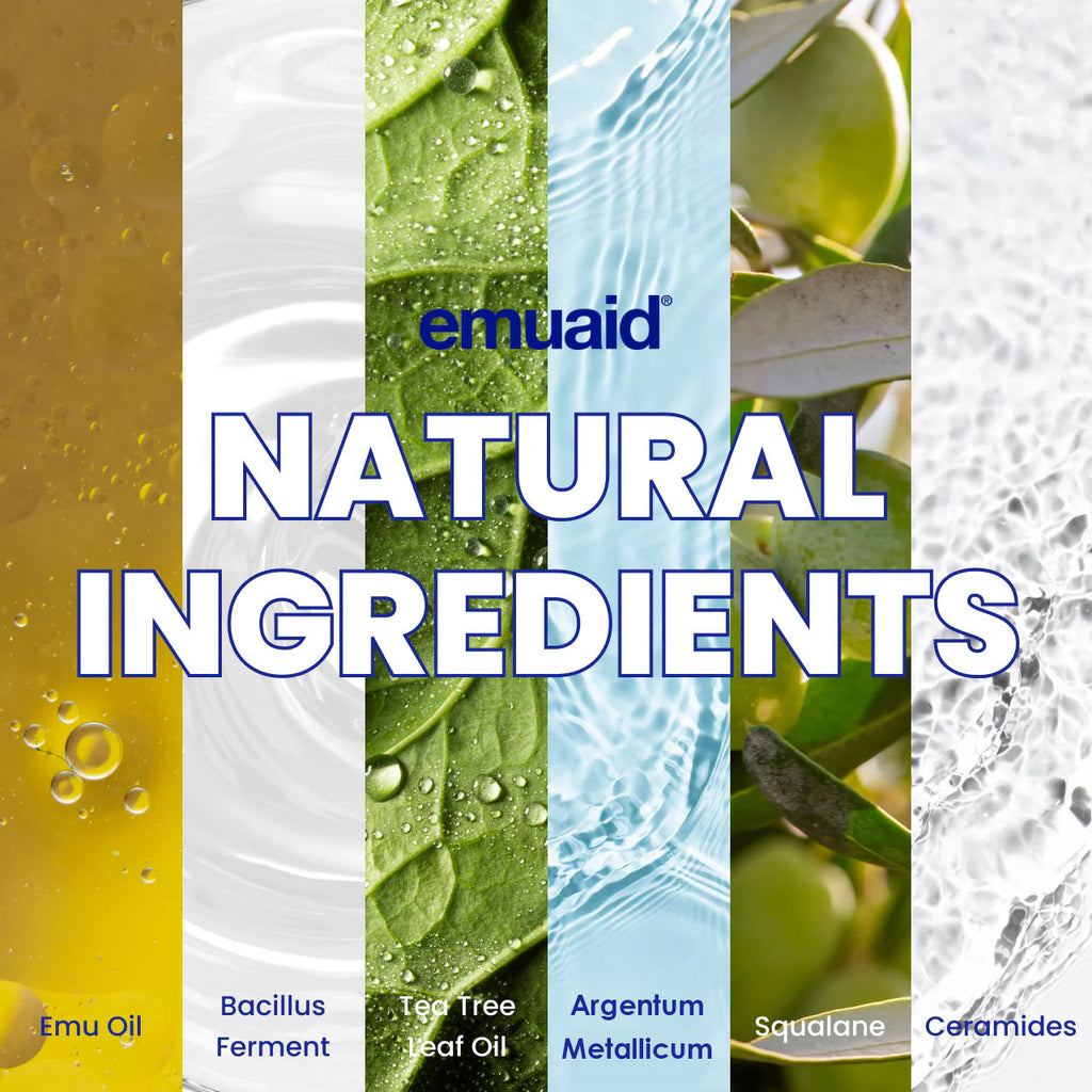 ingredientes naturales aceites y extractos emuaid ingredientes naturales aceites y extractos emuaid