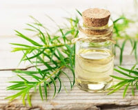 Aceite de hoja de árbol del té