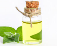Aceite de menta